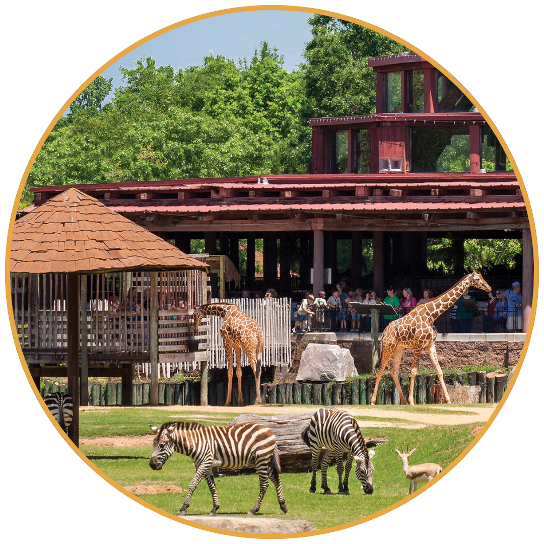 Montgomery Zoo